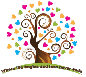 logo kim fillery removebg preview.webp